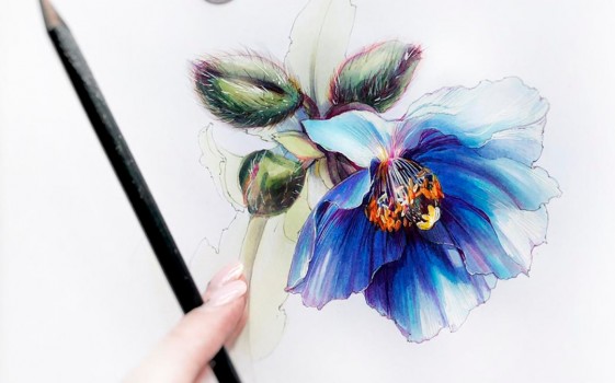 INSTAGRAM марафон - Онлайн с Юлией Максимовой