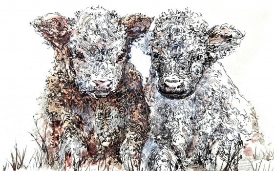 Как штриховать шерсть?