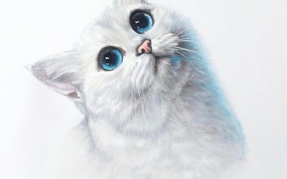 Белые маркеры 