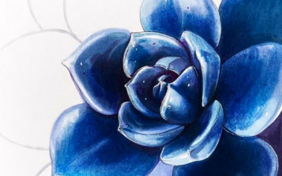 МАРАФОН "ЦВЕТ ГОДА 2020 - классический синий" эфир Юлии Максимовой