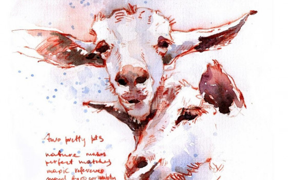 Водорастворимые материалы