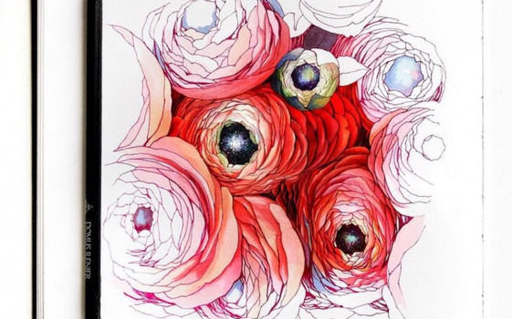 Книга «Теория цвета»