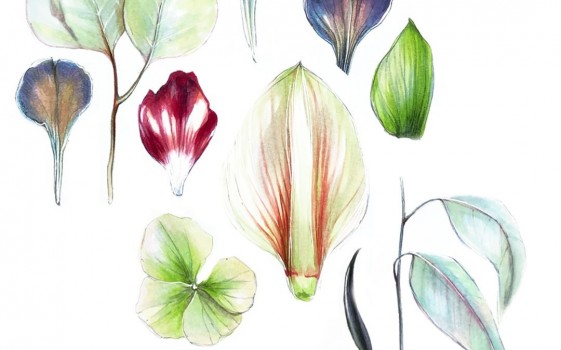 Правильный зелёный - залог красивой иллюстрации 