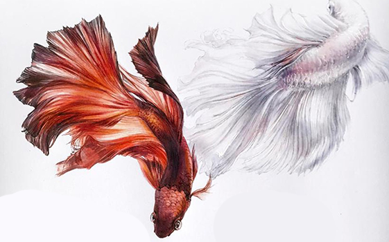 БЛЕНДЕР - ЧТО ЭТО ТАКОЕ?