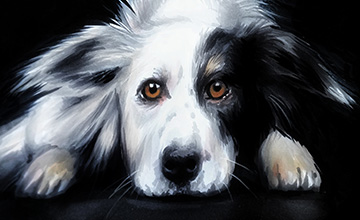 БАЗОВЫЙ КУРС АНИМАЛИСТИКИ ДЛЯ НАЧИНАЮЩИХ