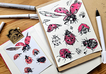 Божья коровка. Построение и композиция