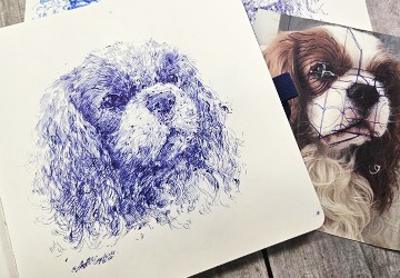 Кавалер-кинг-чарльз-спаниель. Часть 3