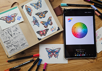 Бабочка. Цветовой круг Иттена и колористика