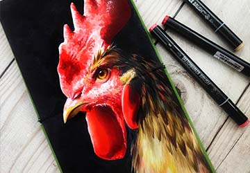 Рисуем петуха. Работа со сложным светом.