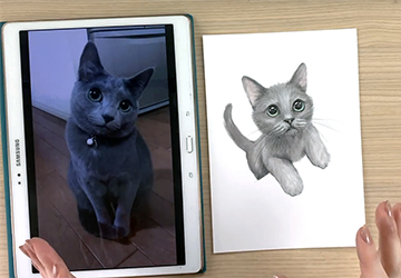 КОТЕНОК: ИТОГОВАЯ РАБОТА