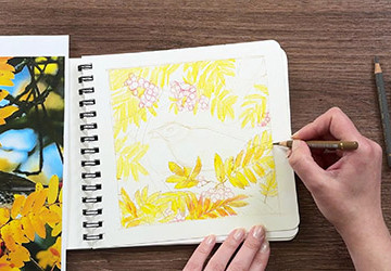 Птица. Работаем с окружением