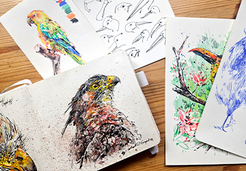 Ошибки в изображении птиц