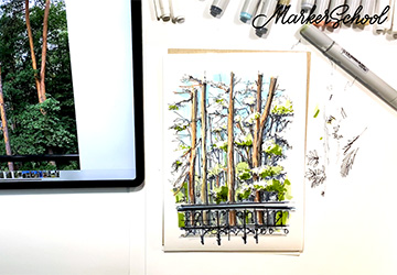 СОСНЫ ЮРМАЛЫ