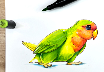 Рисунок попугая