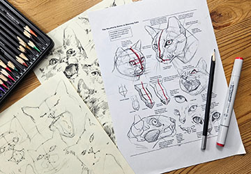 Кошки и котята. Вводный разбор и эмоции