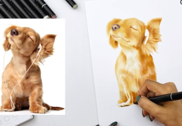 Щенок в наушниках. Цвет.