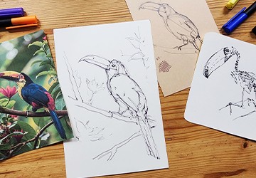 Тукан. Построение и цветовые акценты