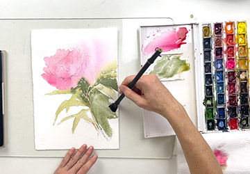 Пионы. Цветовая палитра