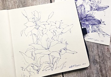 Ботаническая иллюстрация: макроракурс. Часть 1