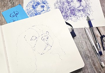 Кавалер-кинг-чарльз-спаниель. Часть 1