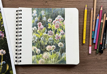 Клевер. Дорабатываем тон и детали