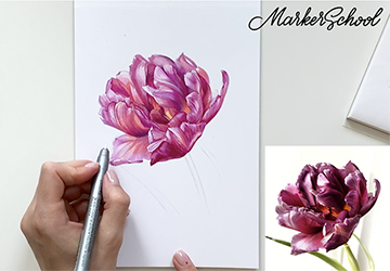 БОРДОВЫЕ ЦВЕТЫ - ИТОГОВАЯ РАБОТА. НАЧАЛО