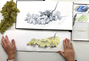 Виноград зелёный. Подложка