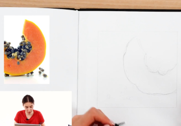 ПАПАЙЯ. Формирование эскиза и контур 