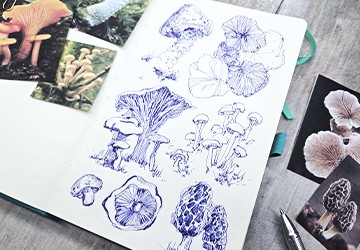 Линия, штрих и пятно. Грибы