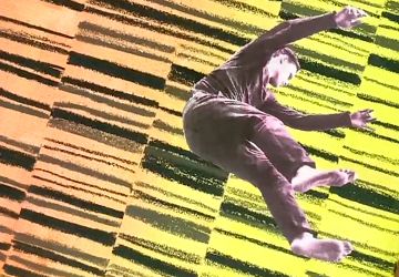 Клей как основа