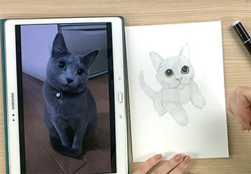 КОТЕНОК: ГЛАЗА