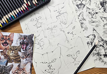 Кошки и котята. Композиция и основные силуэты