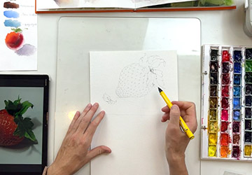 Клубника. Карандашный рисунок