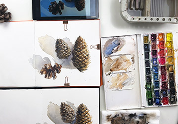 Шишки. Финальные штрихи