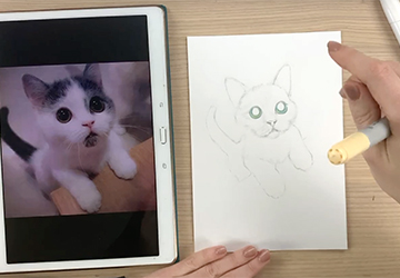 КОТЕНОК: ВЫБОР РЕФЕРЕНСА