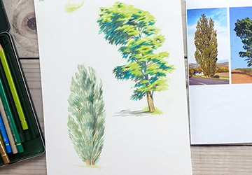 Деревья: рисуем курчавое дерево