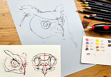 Филин. Построение головы. Схемы