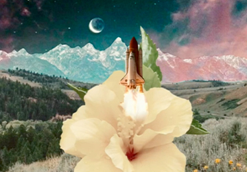 Анимация полета! ПОЕХАЛИ!