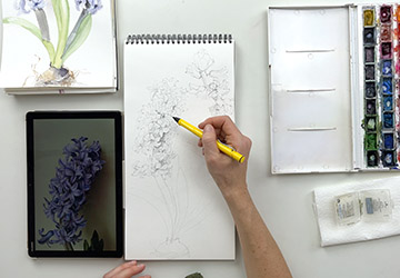 Гиацинты. Второй цветок