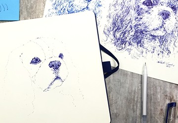 Кавалер-кинг-чарльз-спаниель. Часть 2