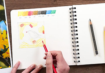 Закрытая композиция: птица. Анализ референса, построение