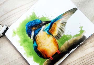 Рисуем зимородка. Цвет.