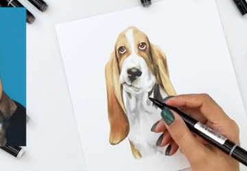 Эмоциональная собака. Собака в цвете. 