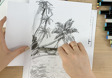 ТРОПИЧЕСКИЕ ФАНТАЗИИ: ПАЛЬМЫ