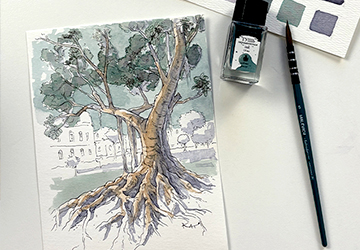 Дерево в Лиссабоне. Цвет