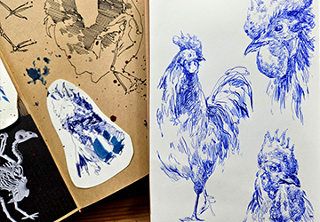 Петух. Скетч синей ручкой