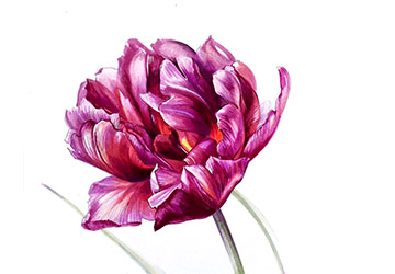 БОРДОВЫЕ ЦВЕТЫ - ИТОГОВАЯ РАБОТА. ФИНАЛ