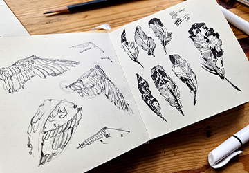 Перья и крыло птицы в чёрно-белой графике