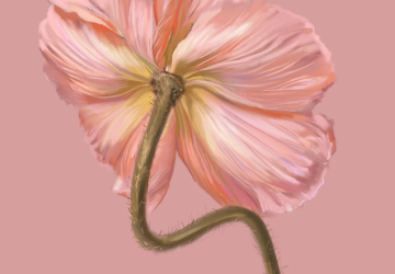 Мак. DIGITAL. Лектор Юлия Максимова