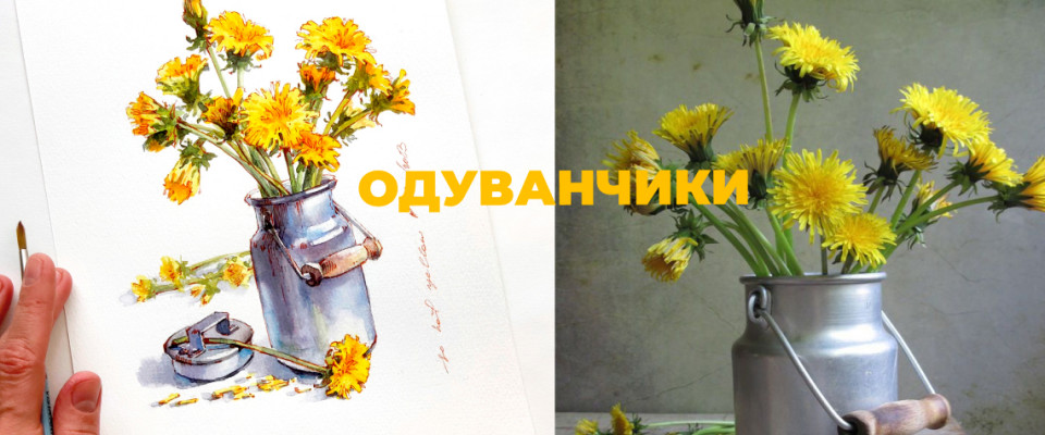 ОДУВАНЧИКИ В БИДОНЕ